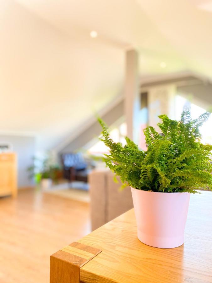 Fewo Sulzer Siedlung Erfurt Apartment ภายนอก รูปภาพ